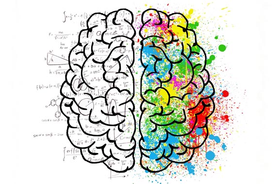 Ein Gehirn mit vielen Punken Farbklecksen symbolisiert Kreativität
